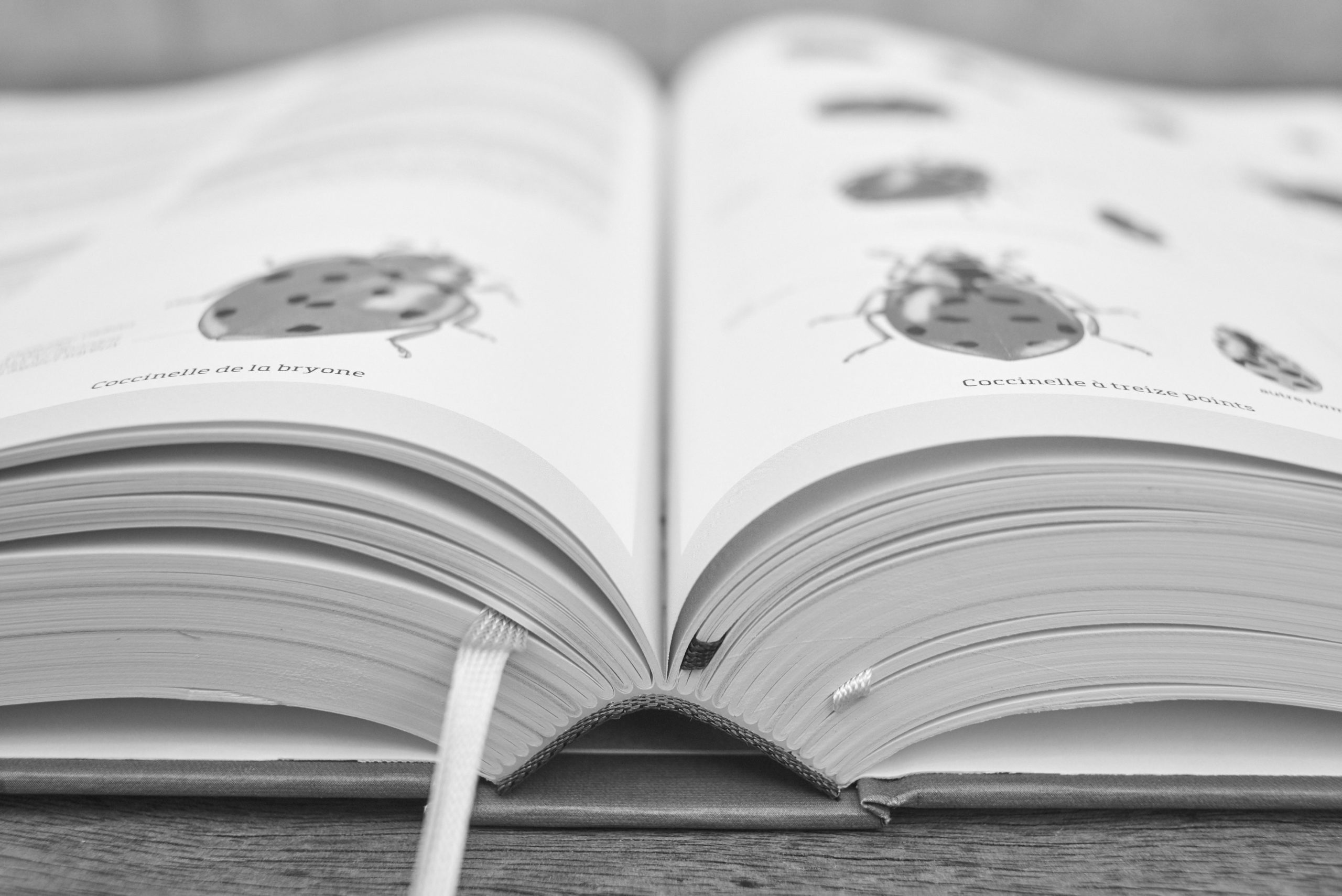 2022_06_17_Books_GPS_RAWs_435_BW